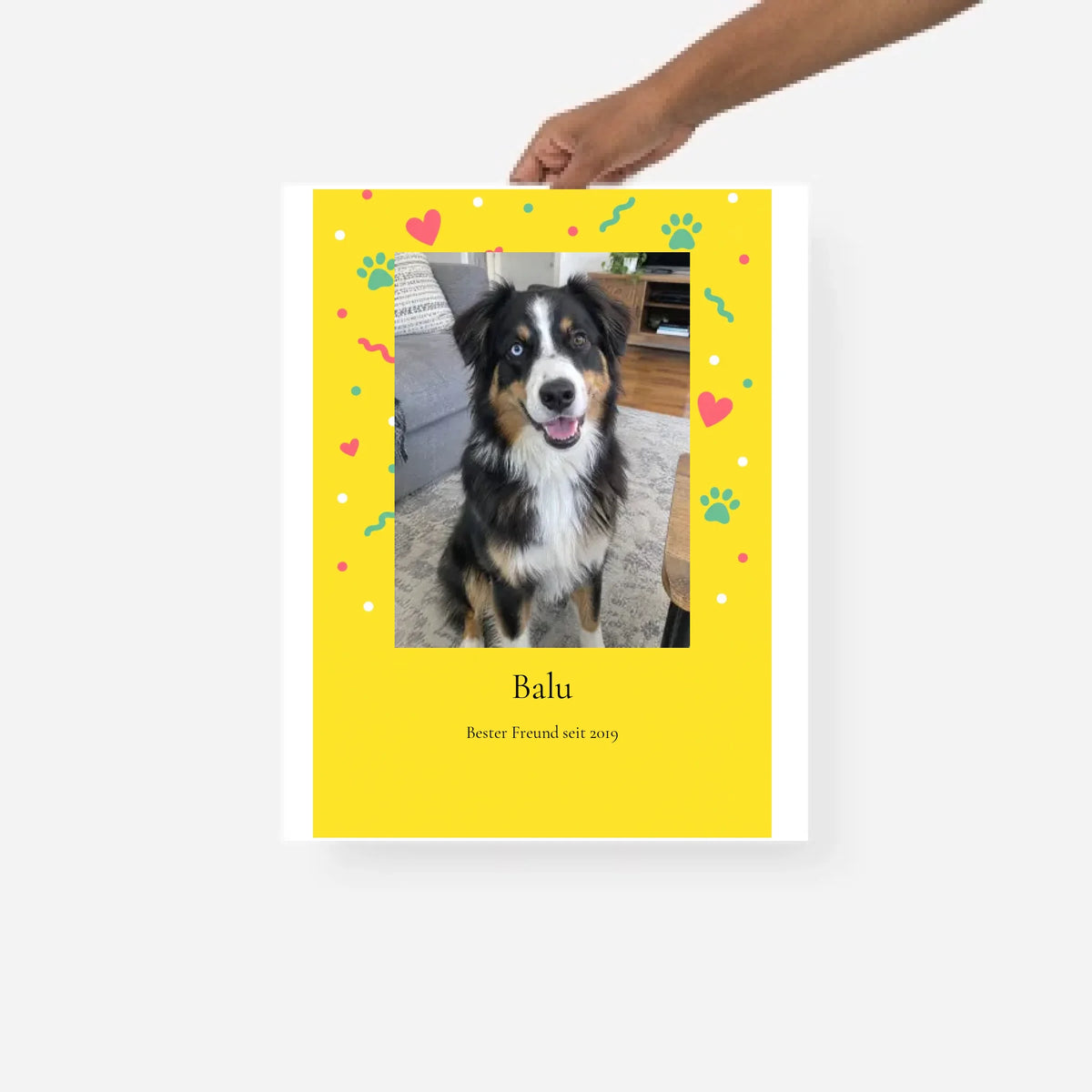 Cartoon-Poster – personalisiert mit deinem Haustier | PawMemories