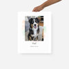 Pop-Art-Poster – personalisiert mit deinem Haustier | PawMemories