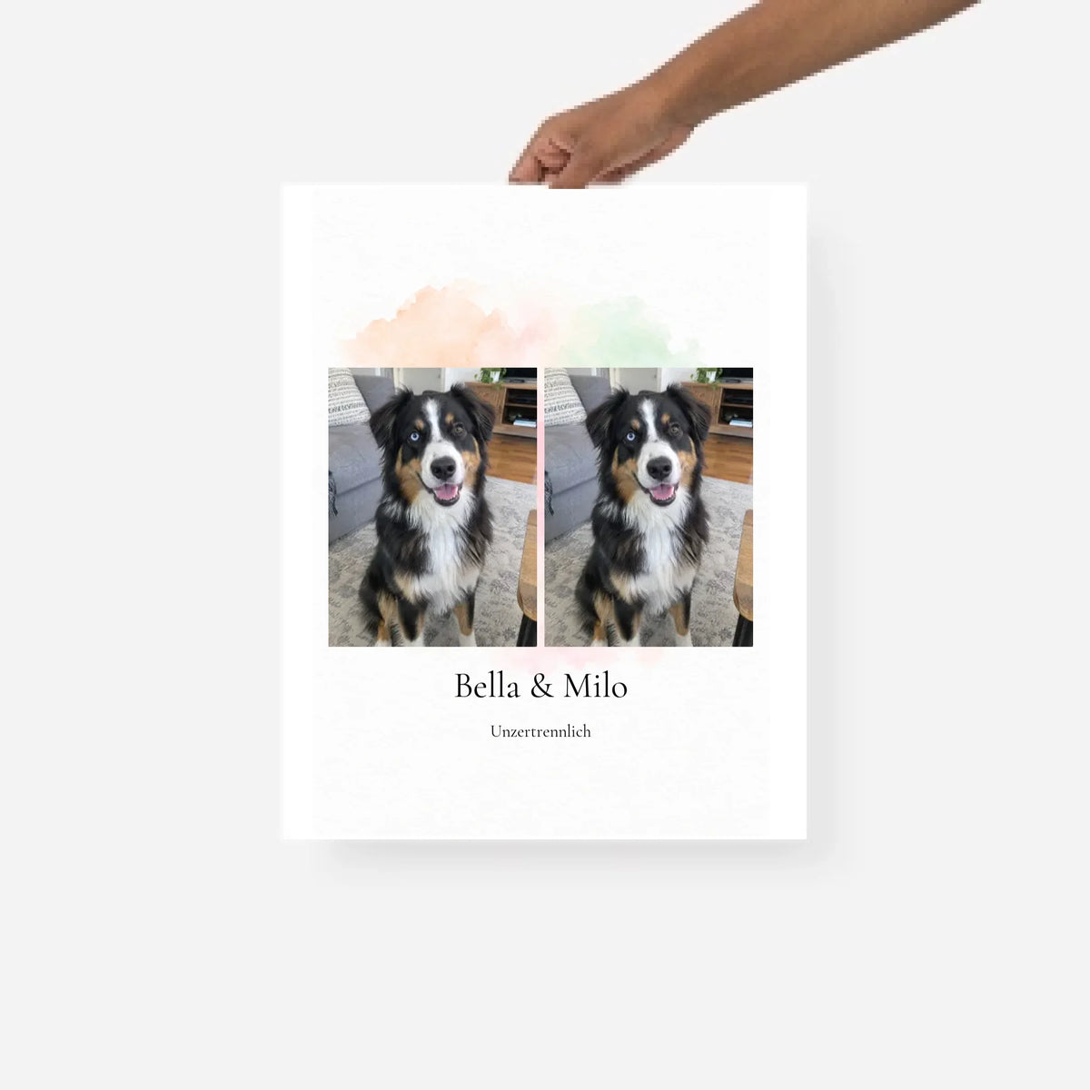 Poster mit zwei Haustieren – personalisiert mit deinem Haustier | PawMemories